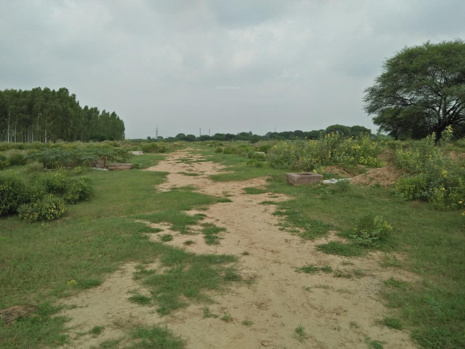 Golf Meadows 1 Extn