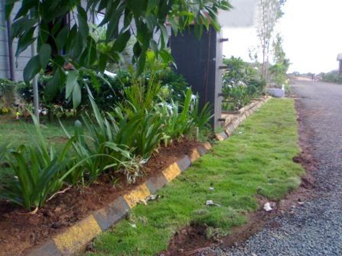 Images for Main Other of Eiffel Warai Woods Ph 2