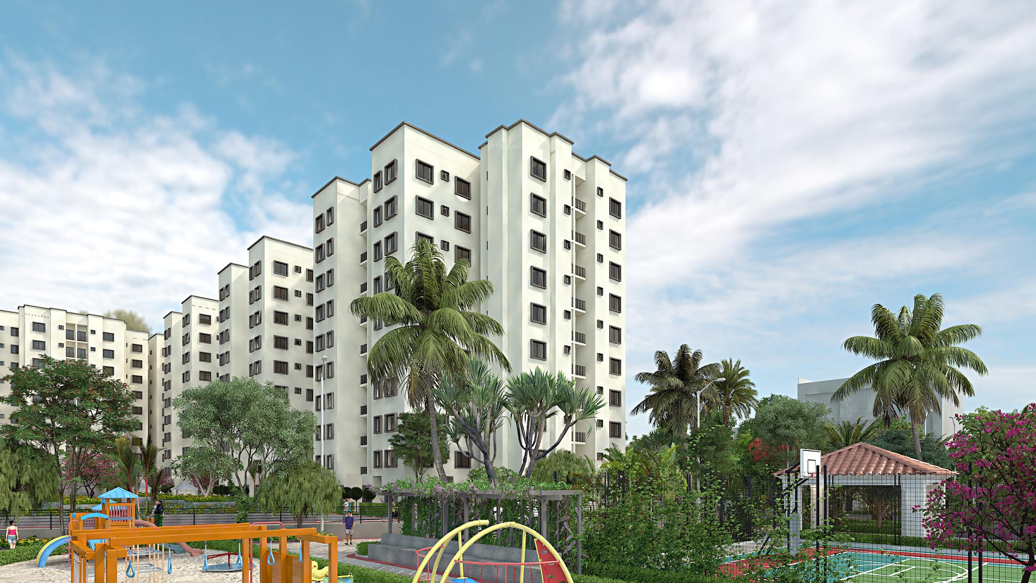  northern-lights Elevation