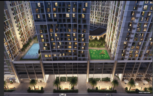  siennaa-wing-d Elevation