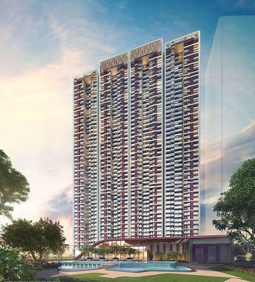 Orion Northern Lights