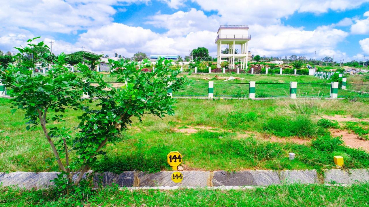  pride Plot