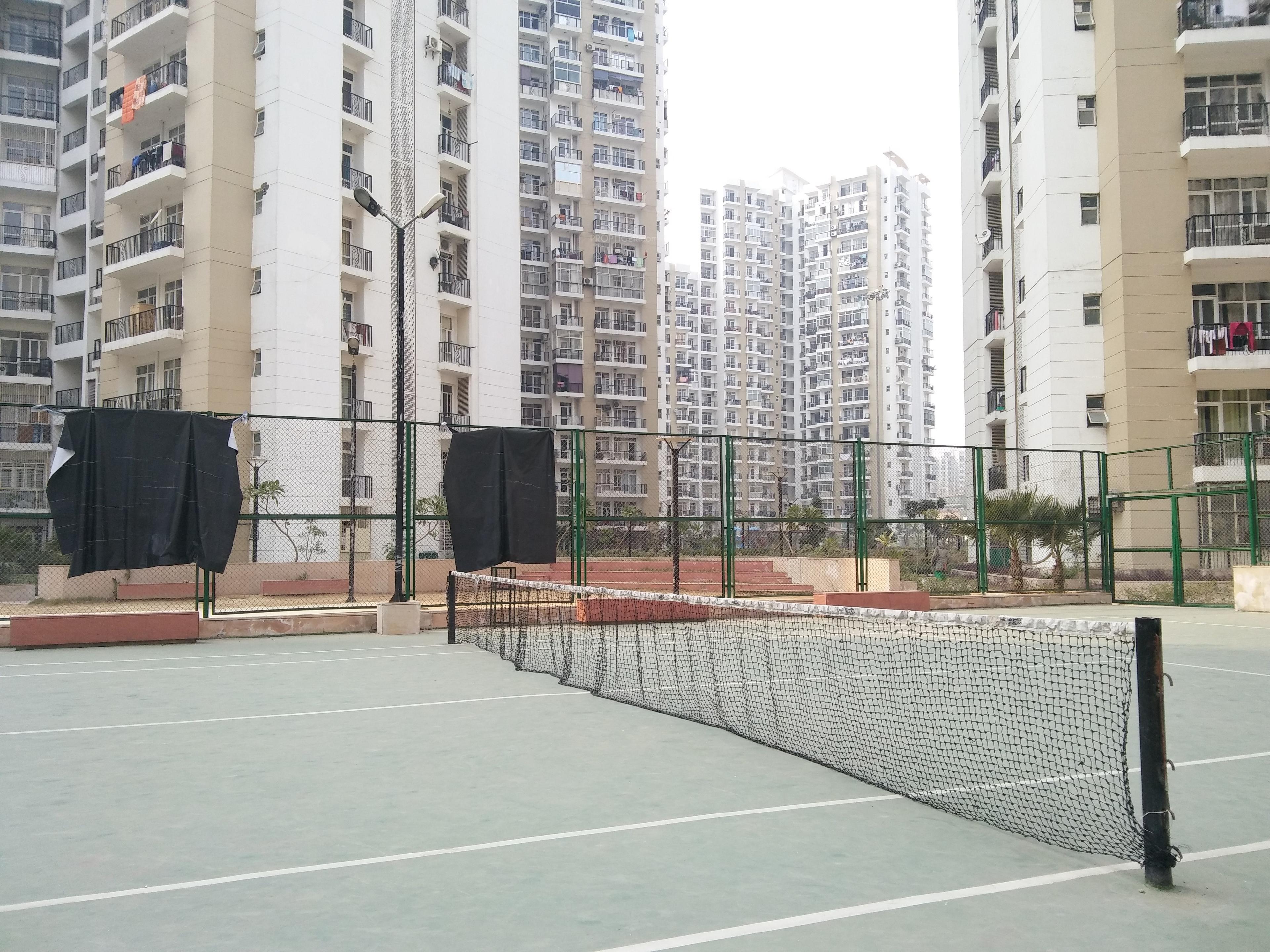 Lawn Tennis Court