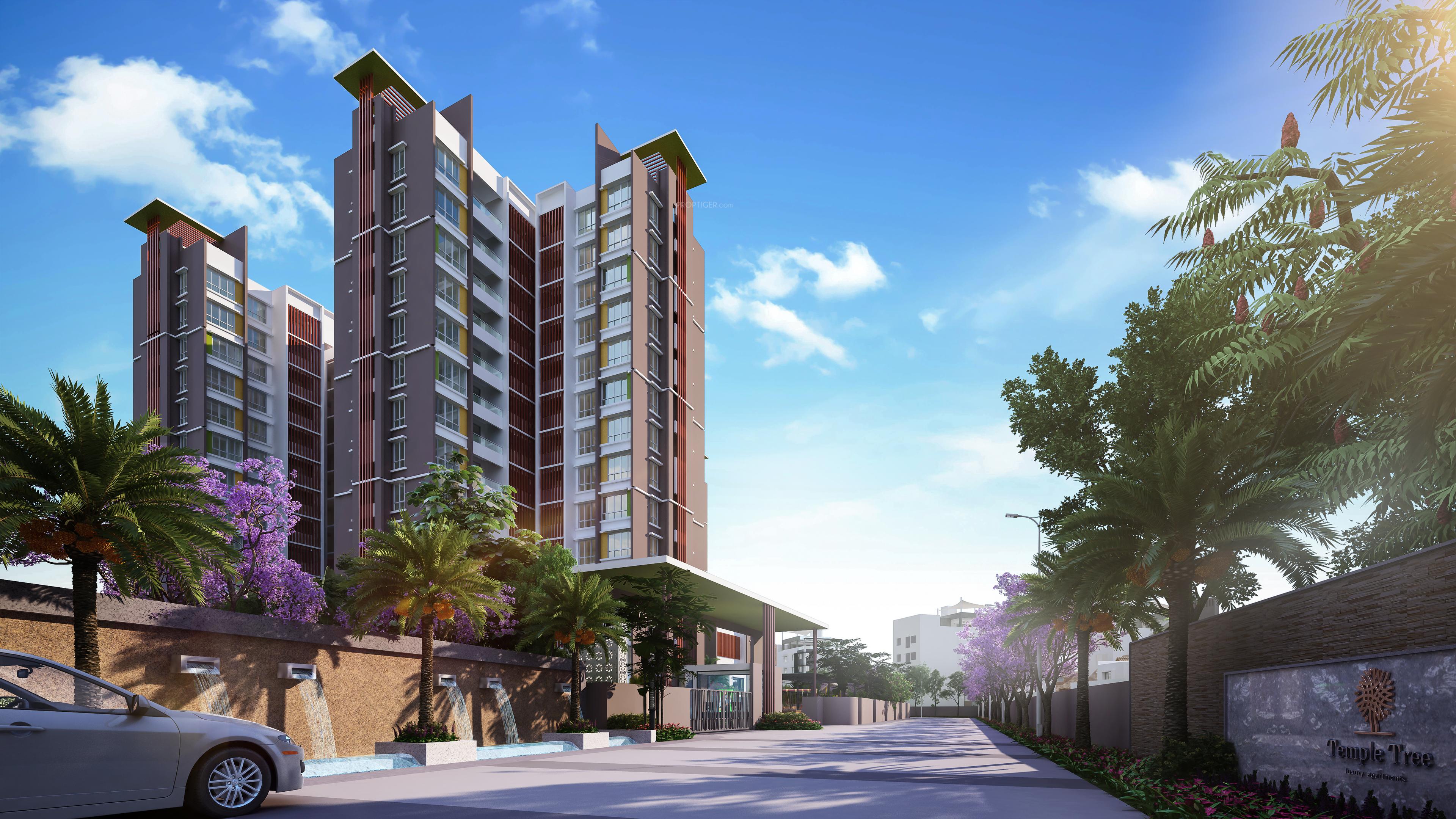  templetree Images for Project