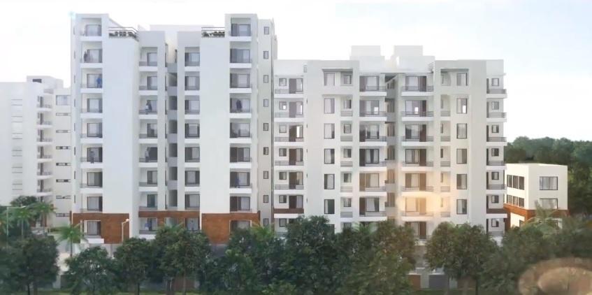  palm-heights Elevation