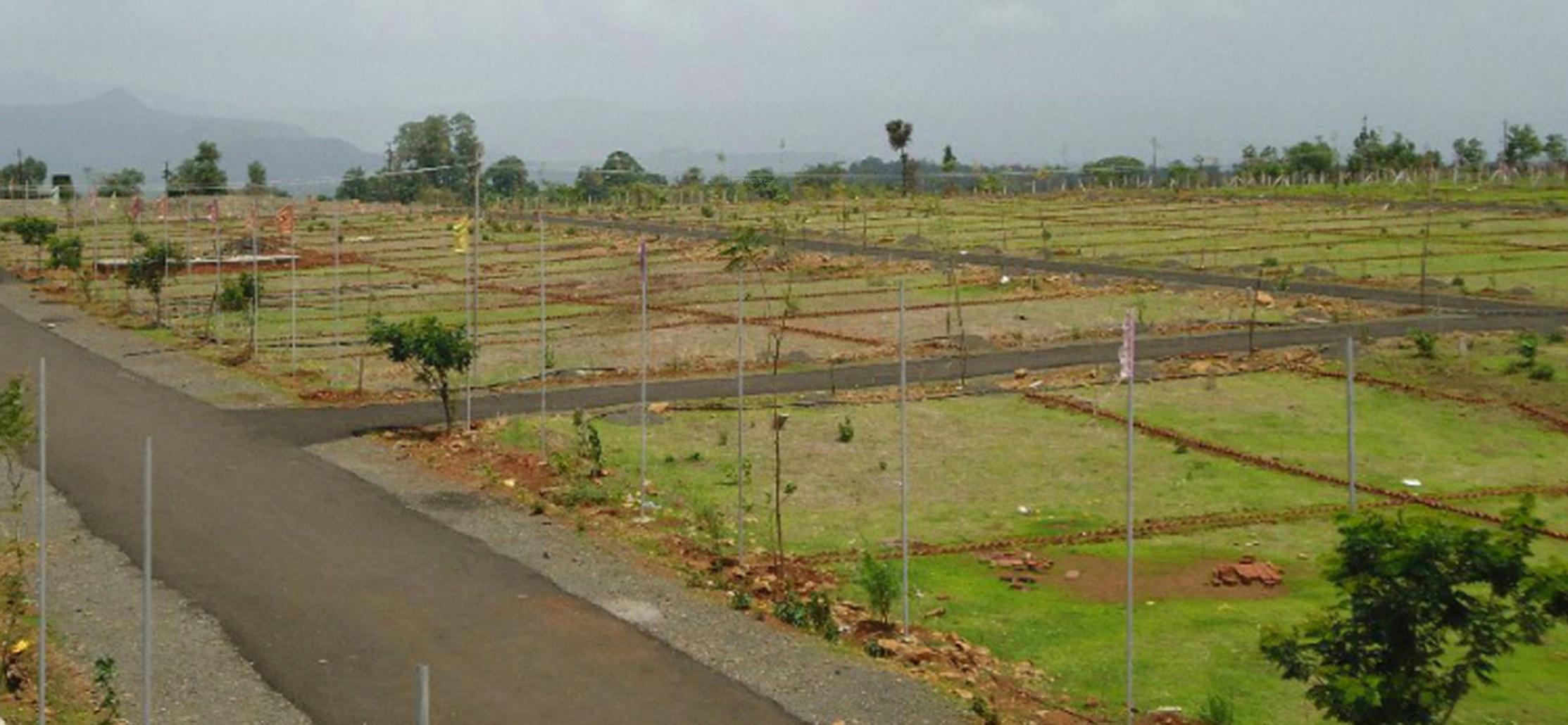 Sai Green