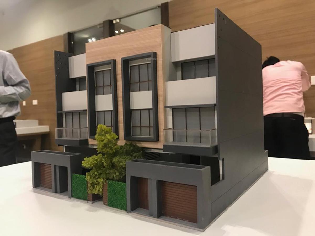  magnolia-cluster-2 Elevation