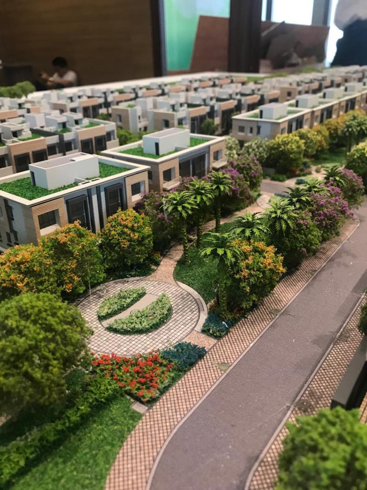  magnolia-cluster-2 Elevation