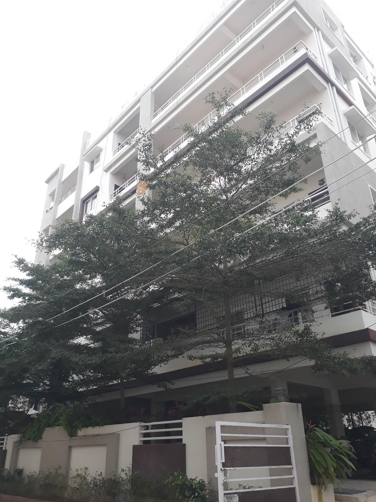  fortune-habitat Elevation