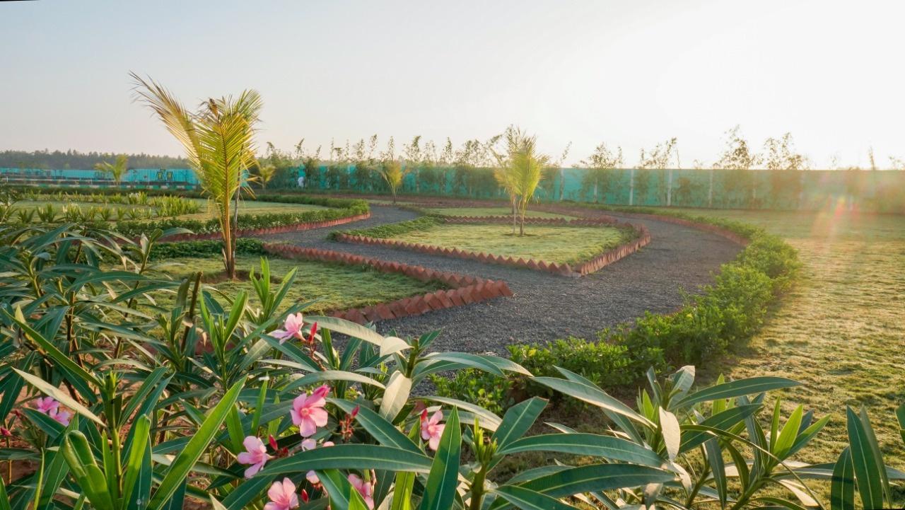 Images for mainOther