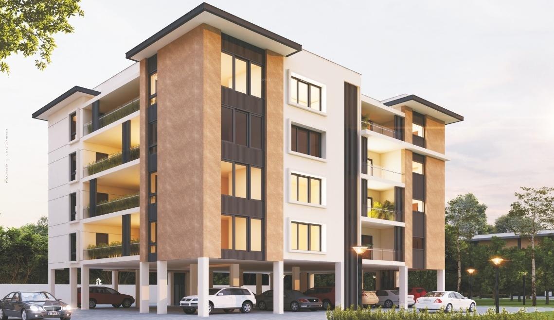  royal-nesto Elevation