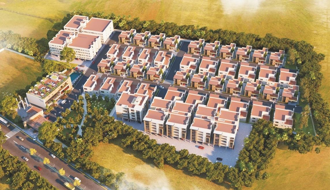  royal-nesto Elevation