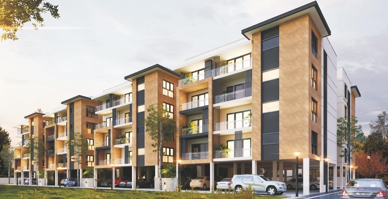  royal-nesto Elevation