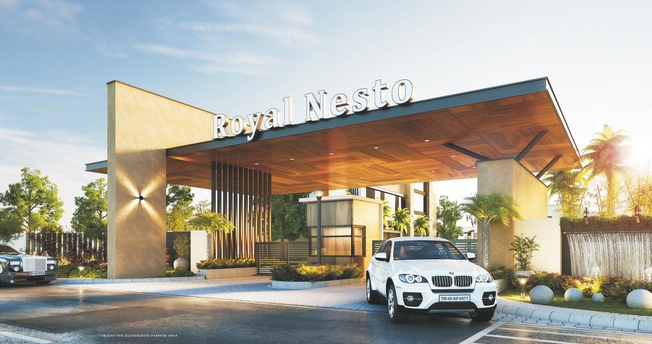 Royal Nesto