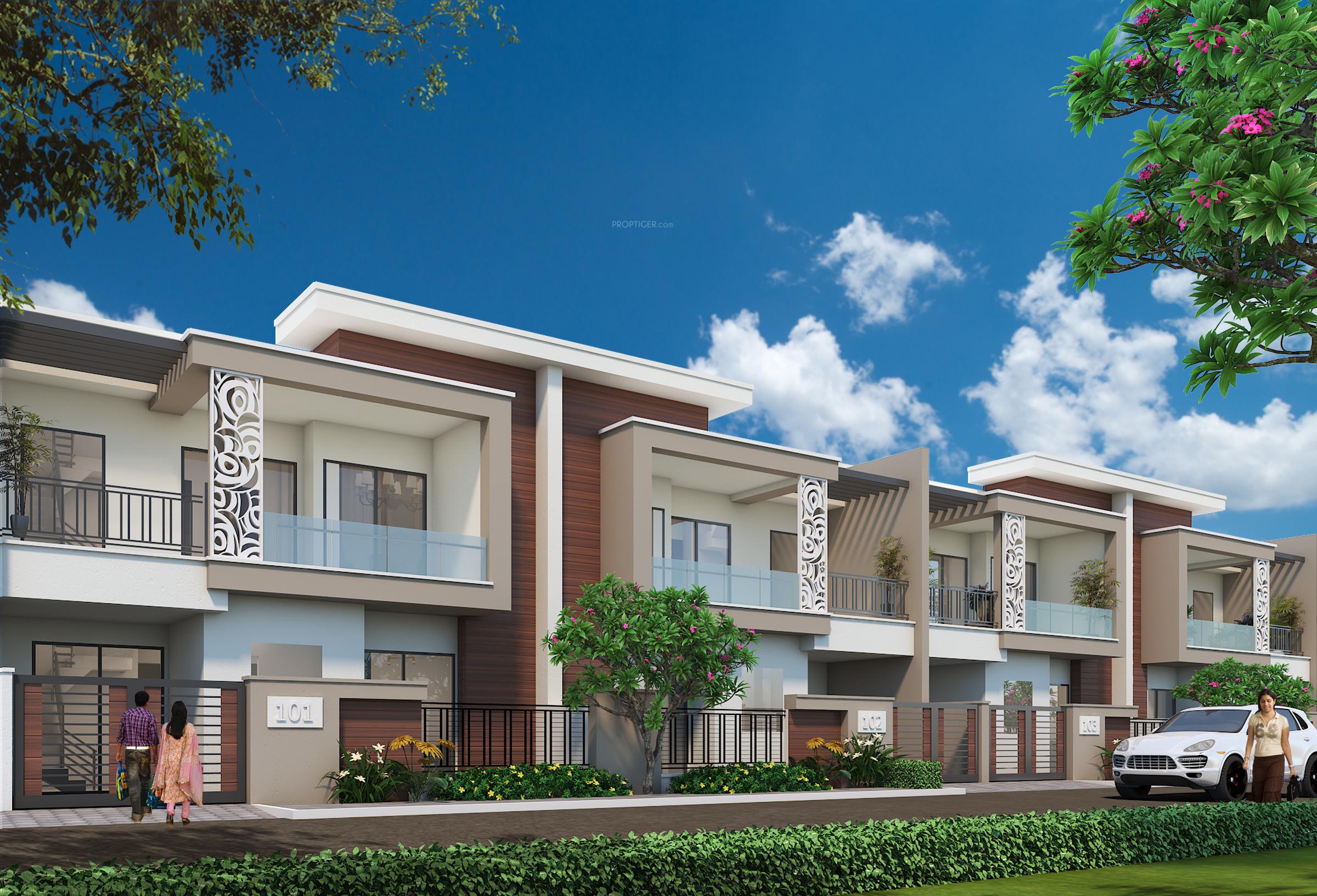  mega-mansions Elevation