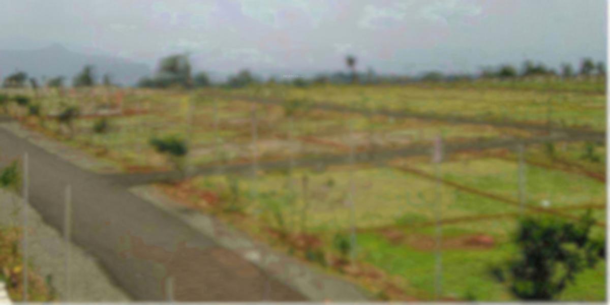 Mars Extensio Phase 2
