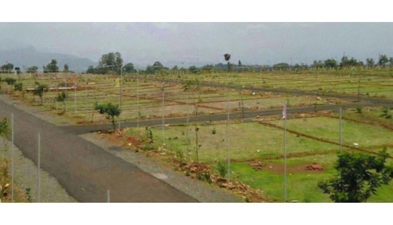 Pradise Phase 1