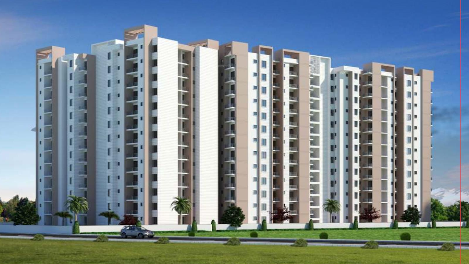  city Elevation