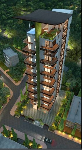 ranka-iris Elevation