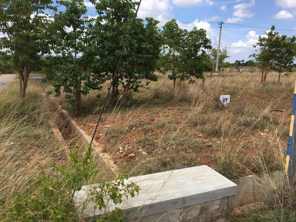  akshaya-siri Elevation