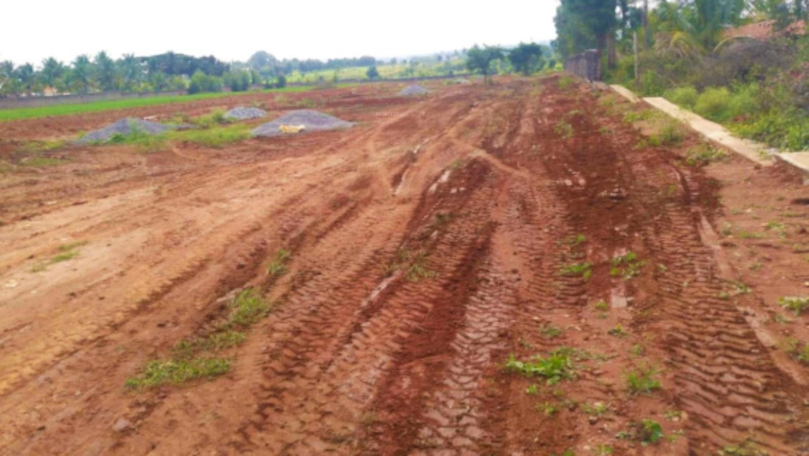  the-imperial-address-phase-i Plot