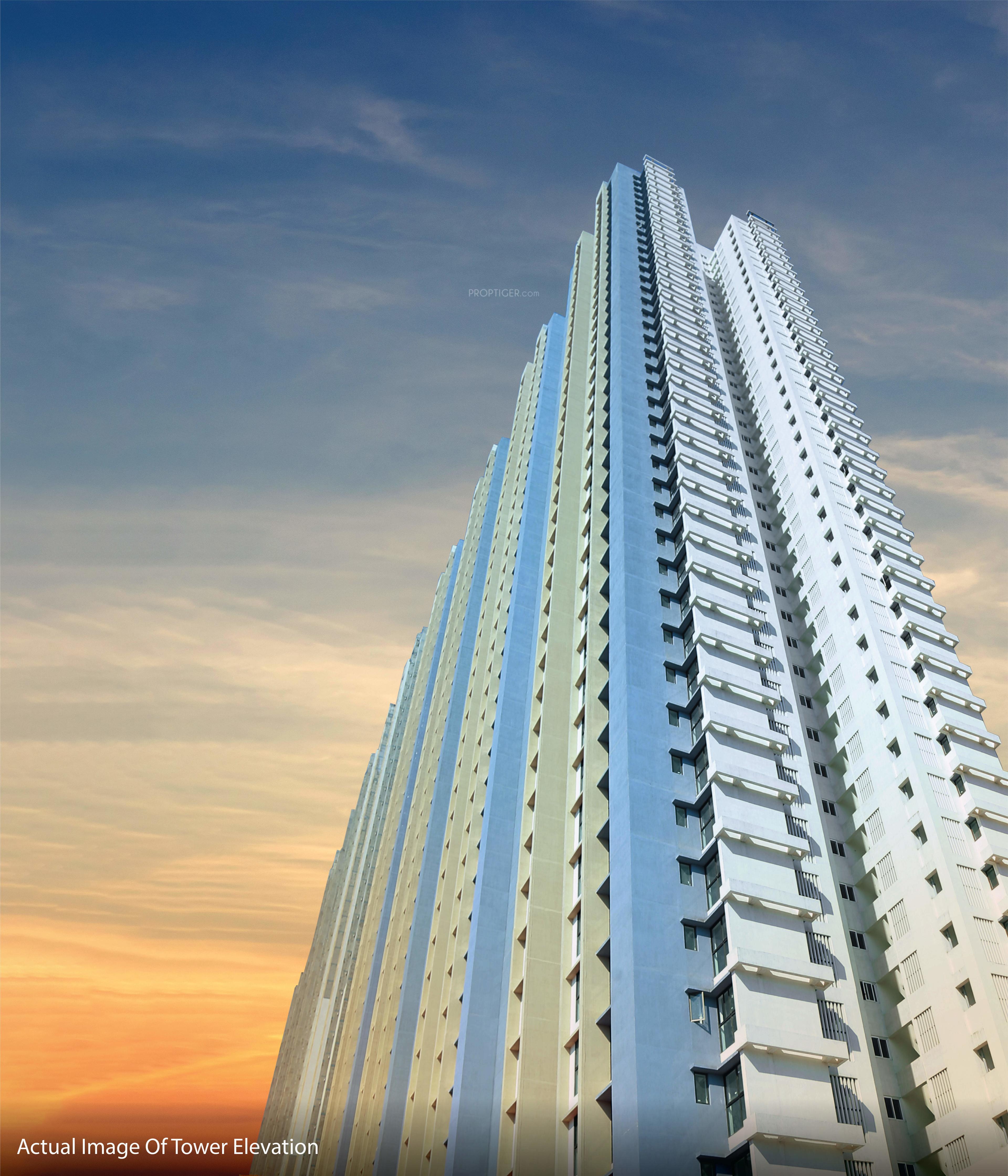  raymond-realty-ten-x-habitat Elevation