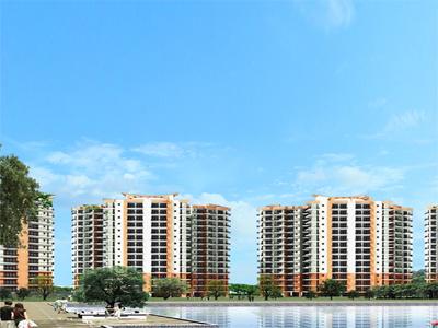 Mansha Floors image