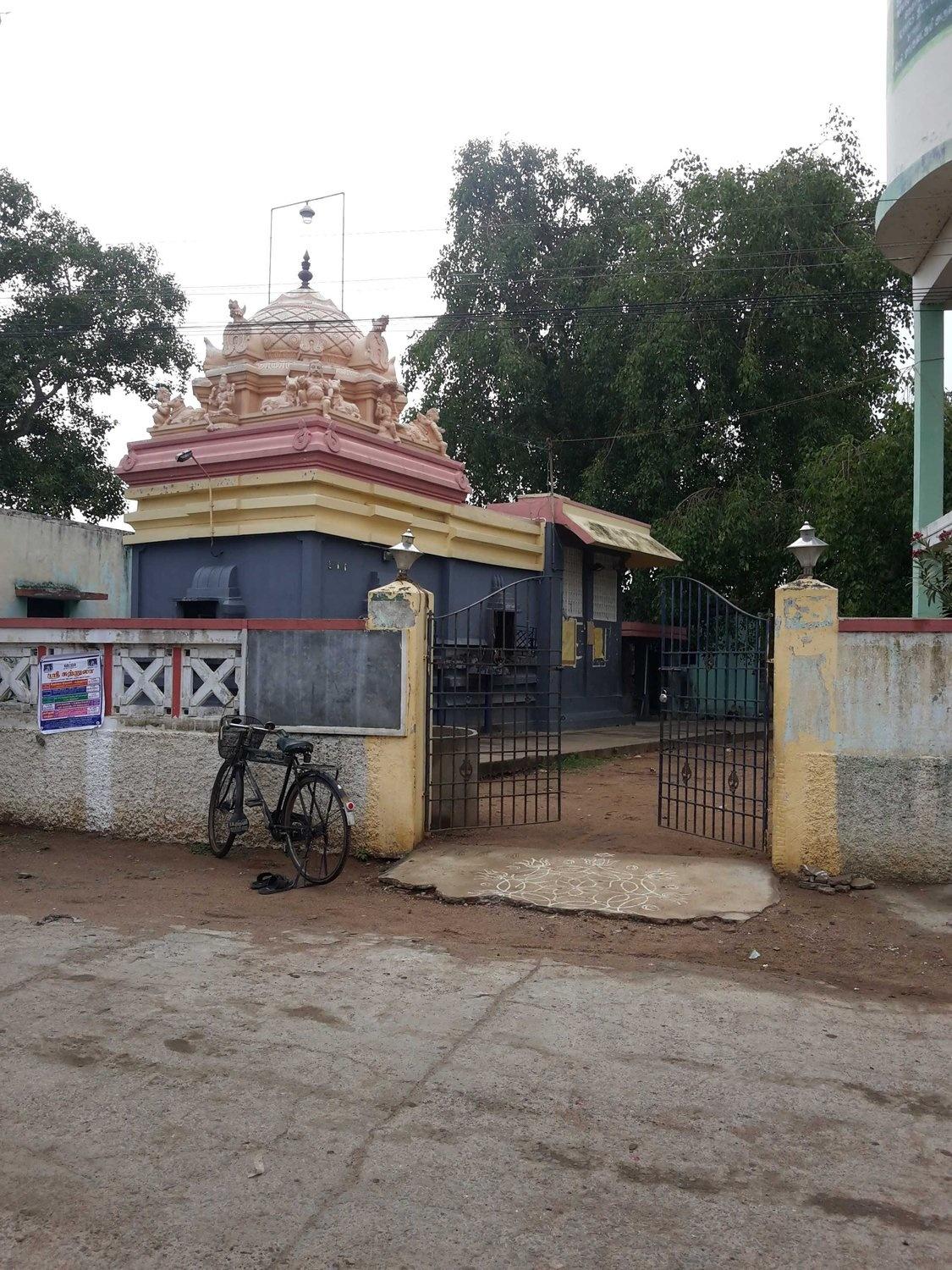 gallery/3032234-103118479