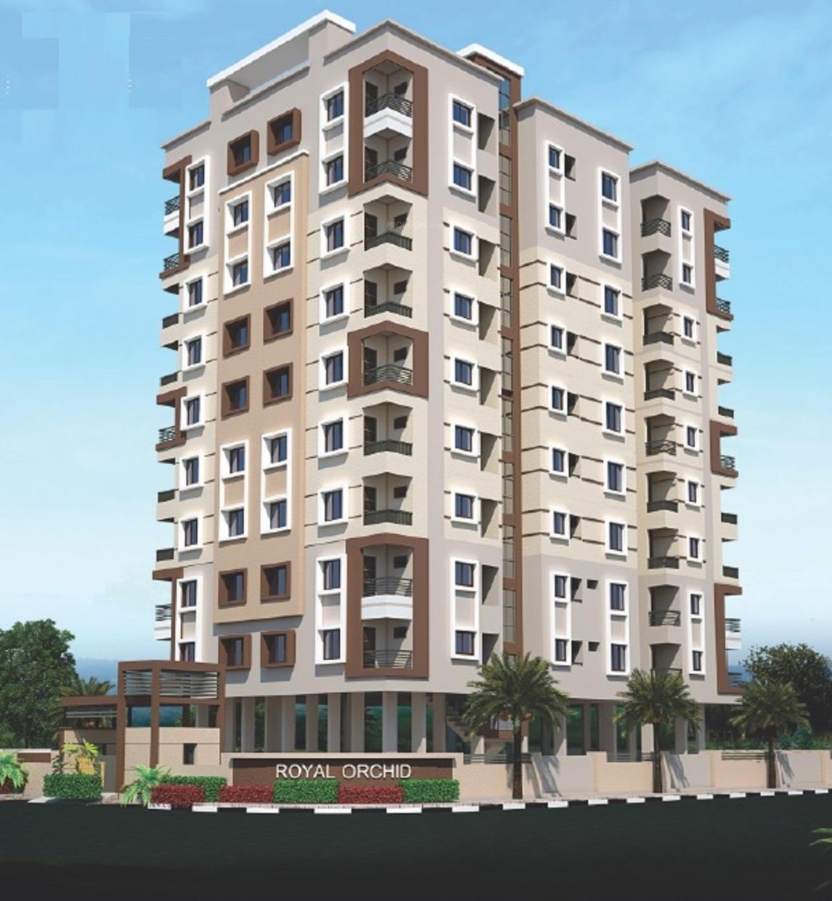  royal-orchid Elevation