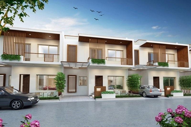  rhea-bird-of-paradise Elevation