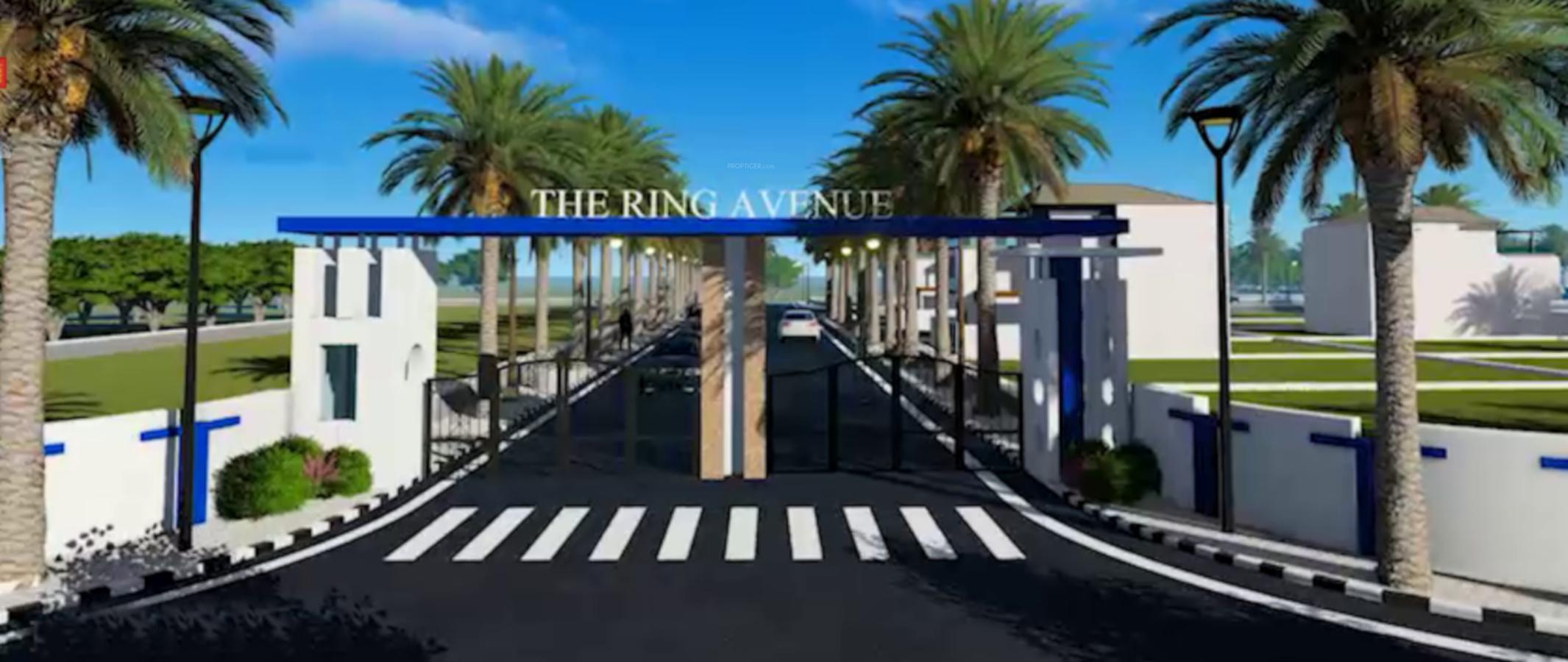 The Ring Avenue 