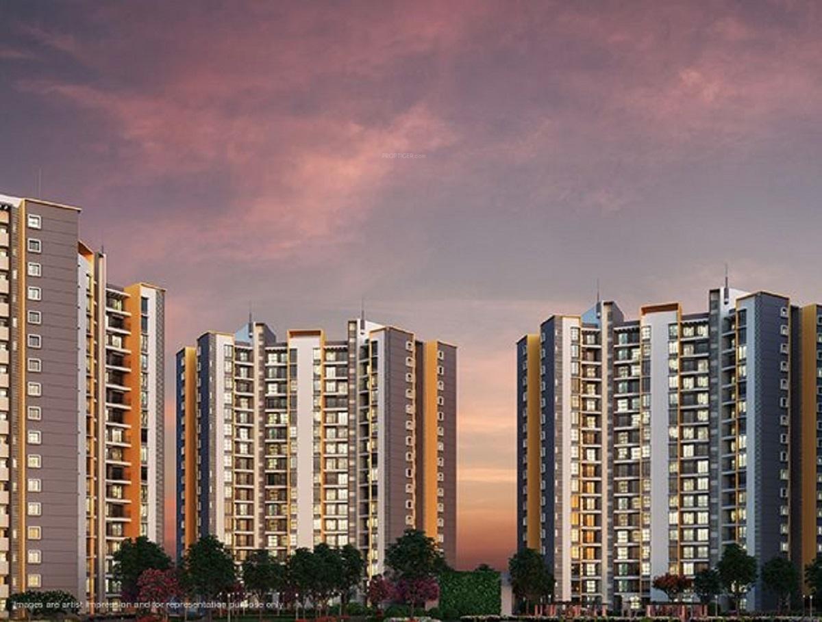  sensorium-phase-iv Elevation