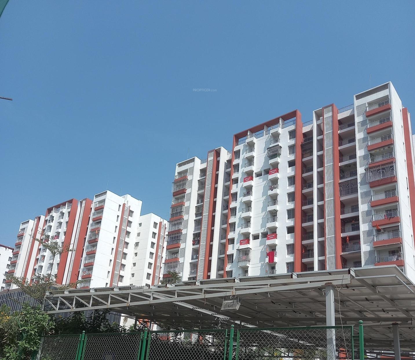  rhythm-county Elevation