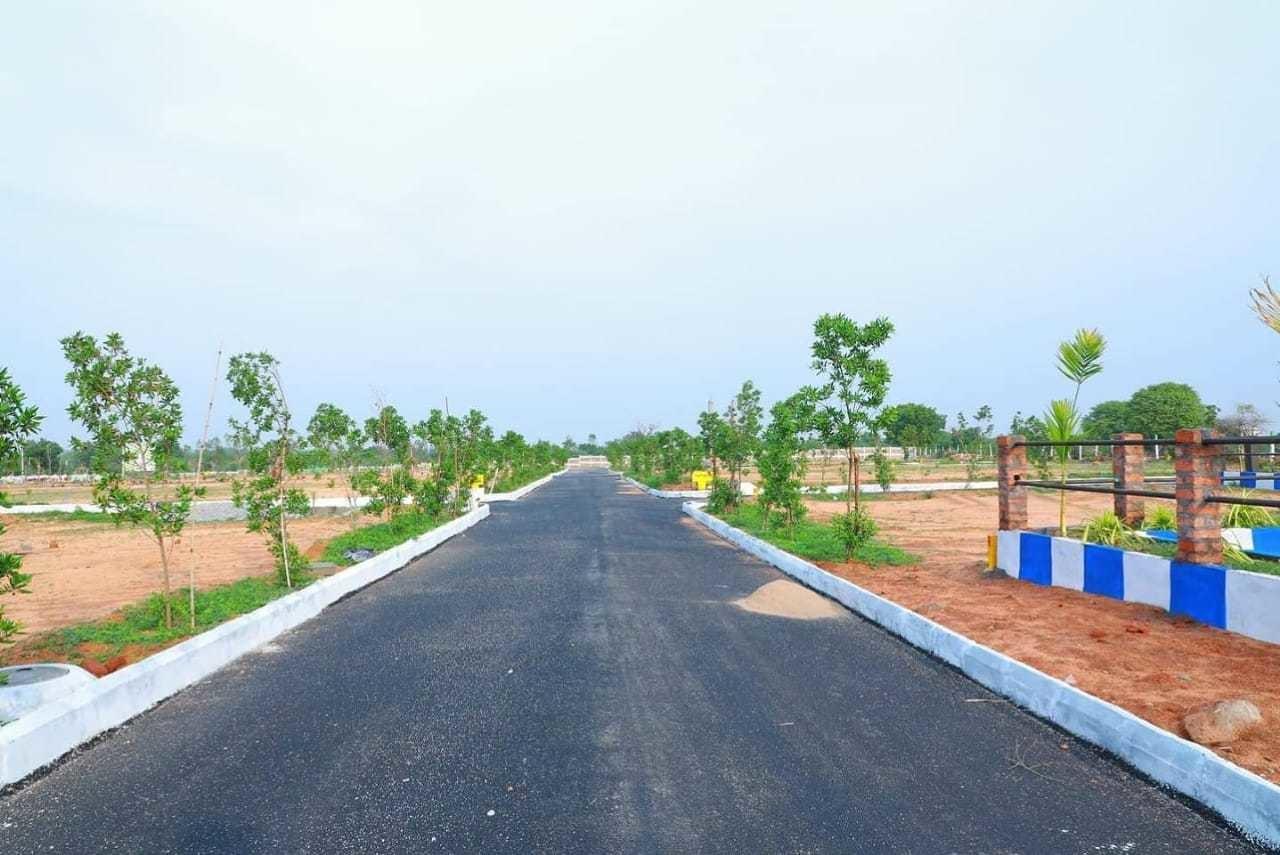  luckie-township-thimmapur Elevation
