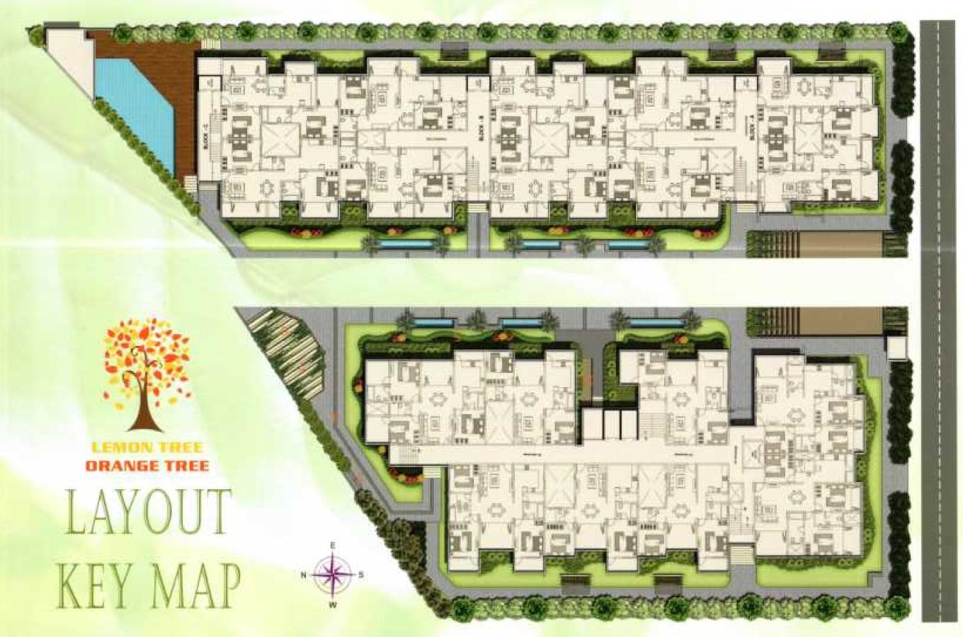  orange-tree Layout Plan