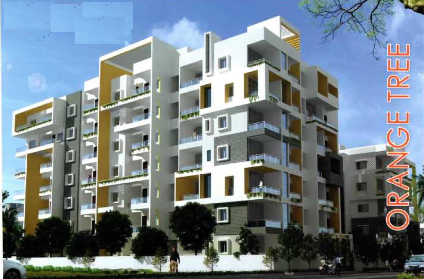  orange-tree Elevation