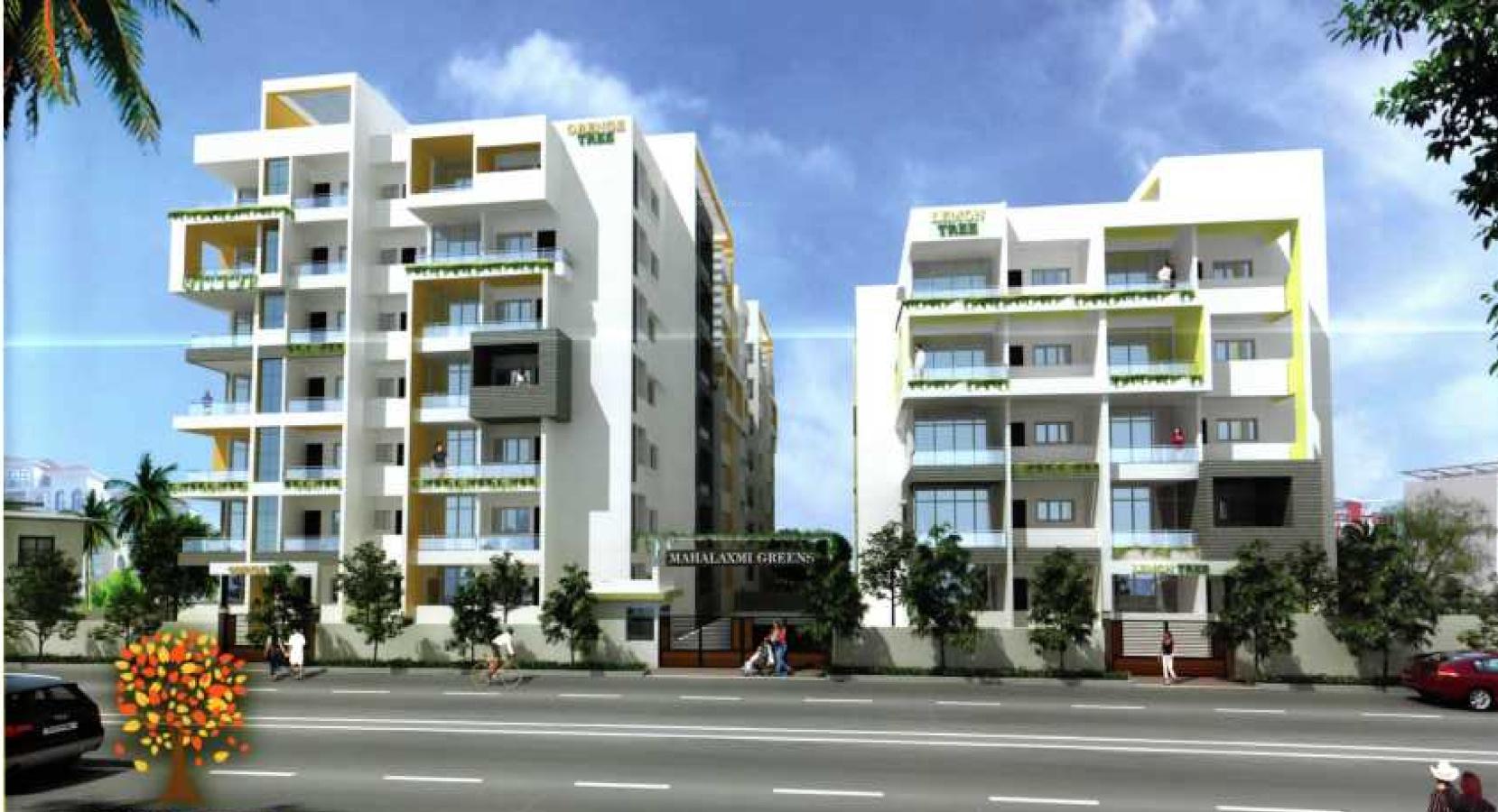  orange-tree Elevation