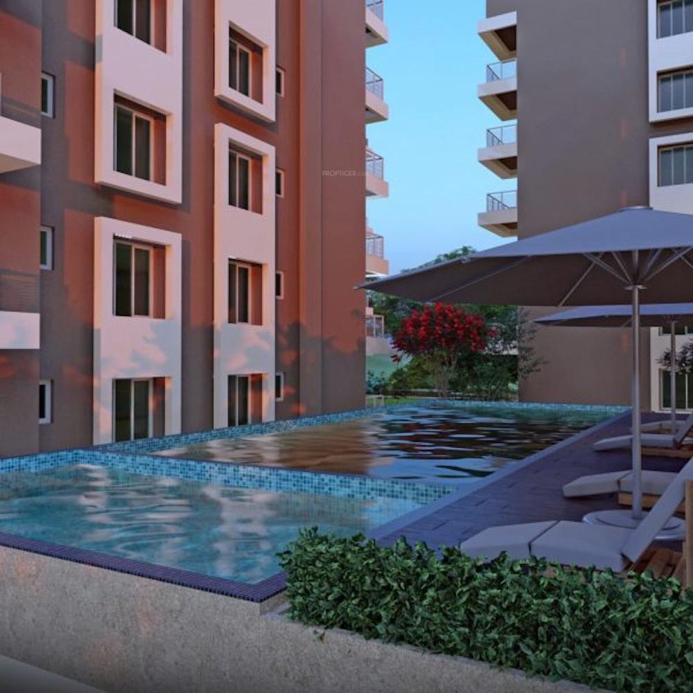  regalia Swimming Pool