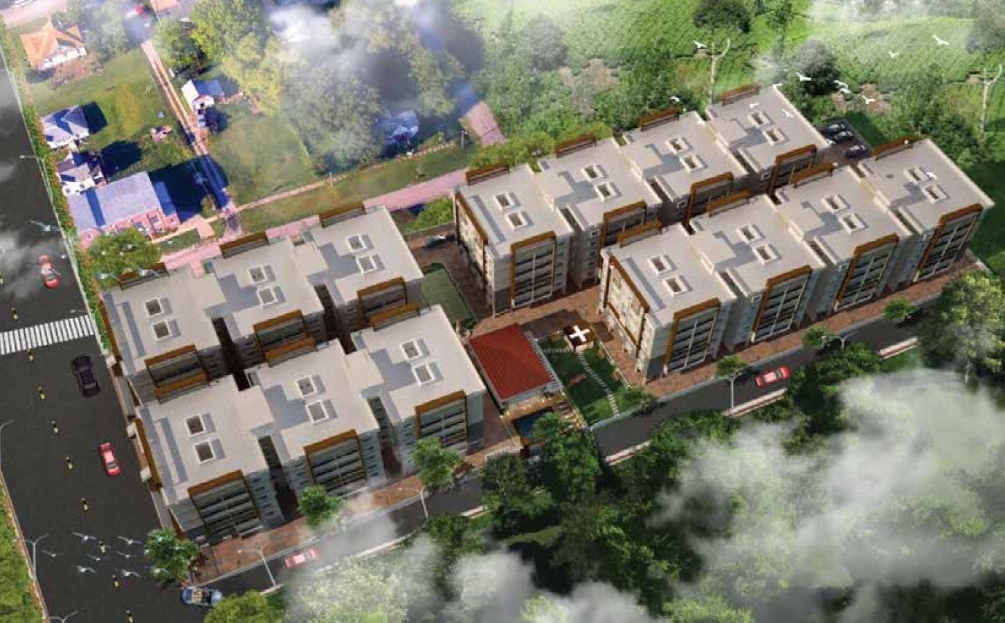  gardenia Elevation