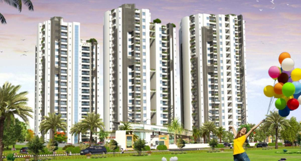 Exotica Phase I