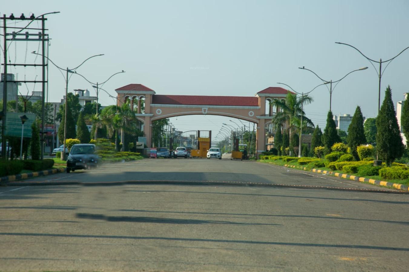 Palm City