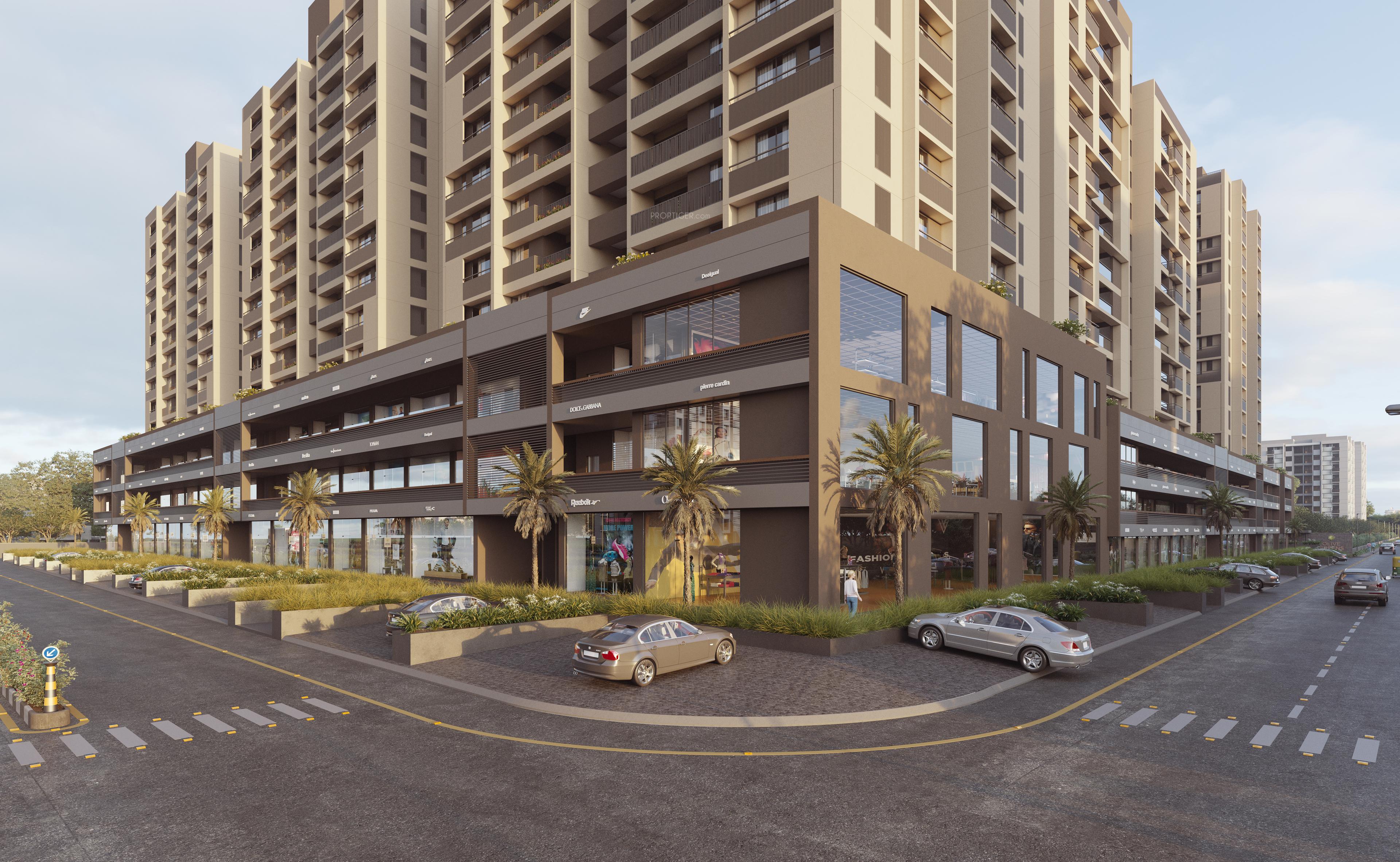  olive-greens Elevation