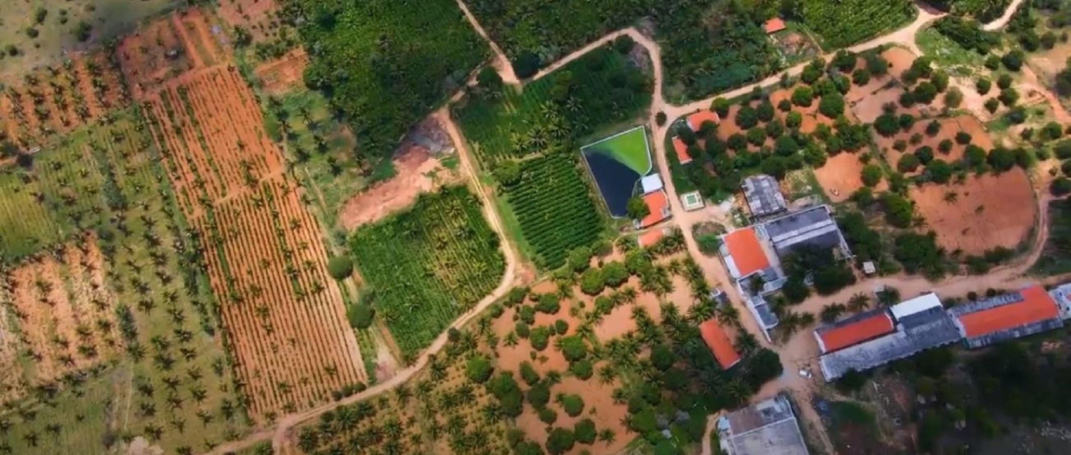 Ayush Green Farms