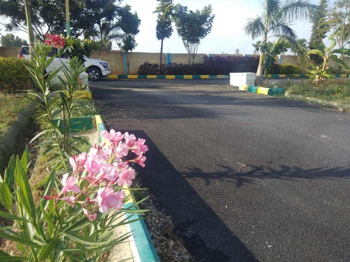  royal-palms-conquer-enclave Others