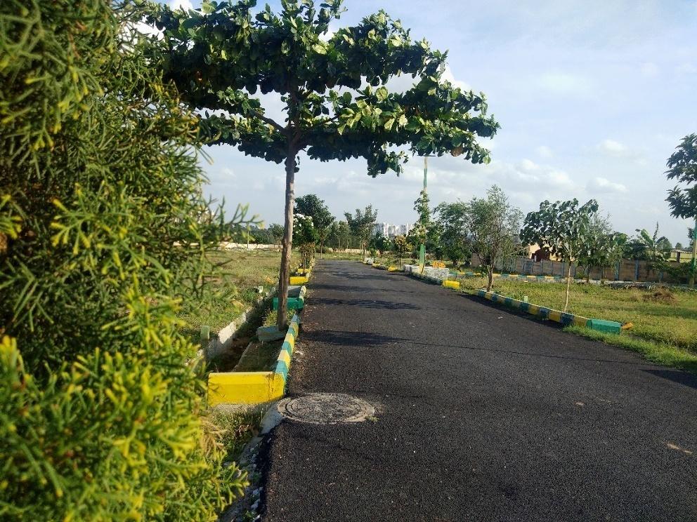  royal-palms-conquer-enclave Others