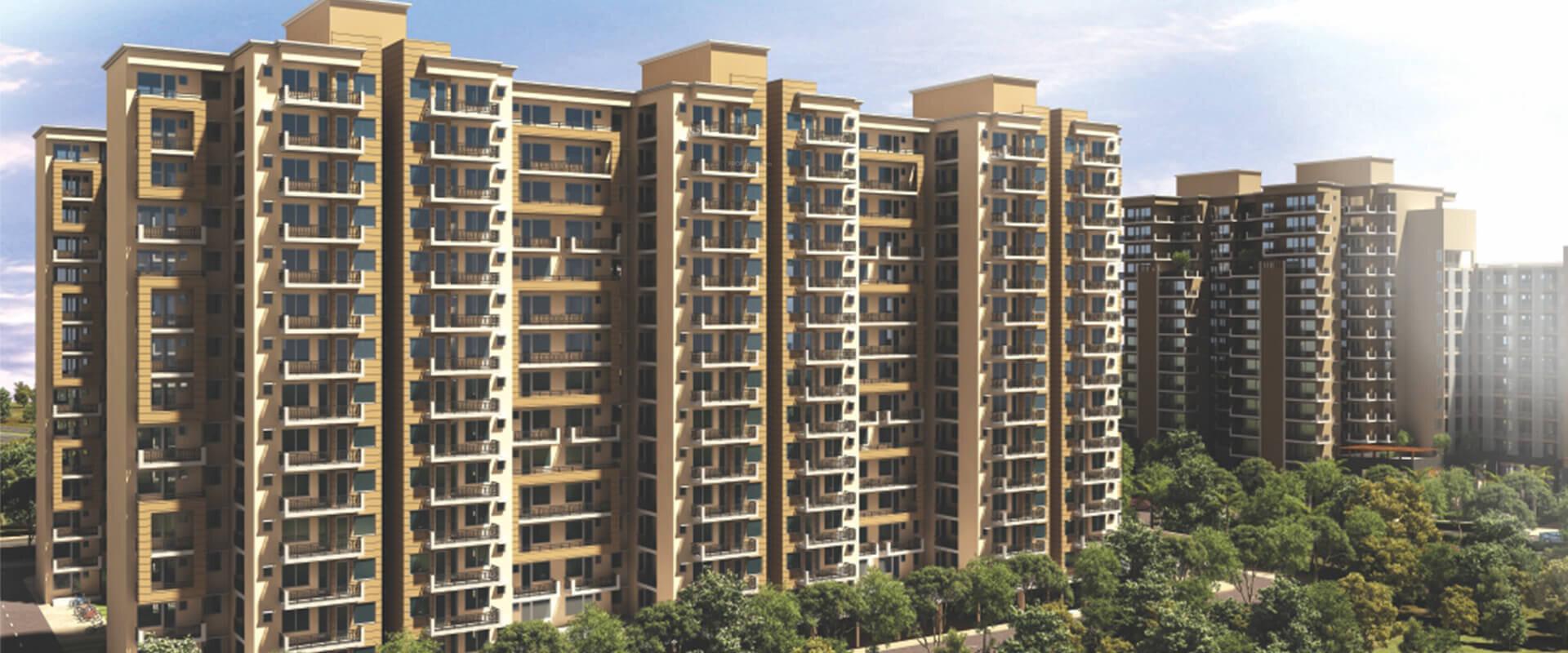  the-homes-81 Elevation