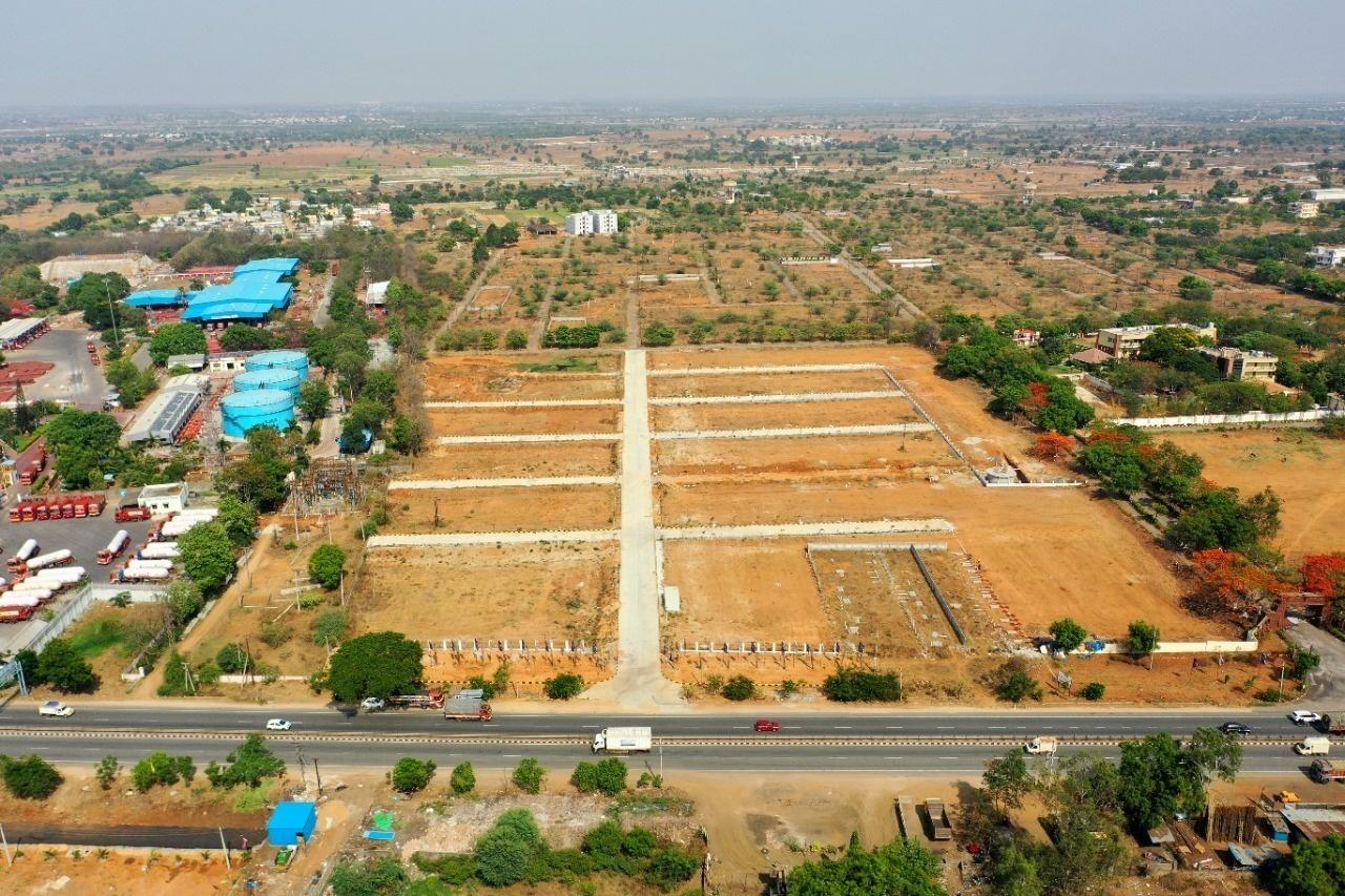  gizapolis Plot
