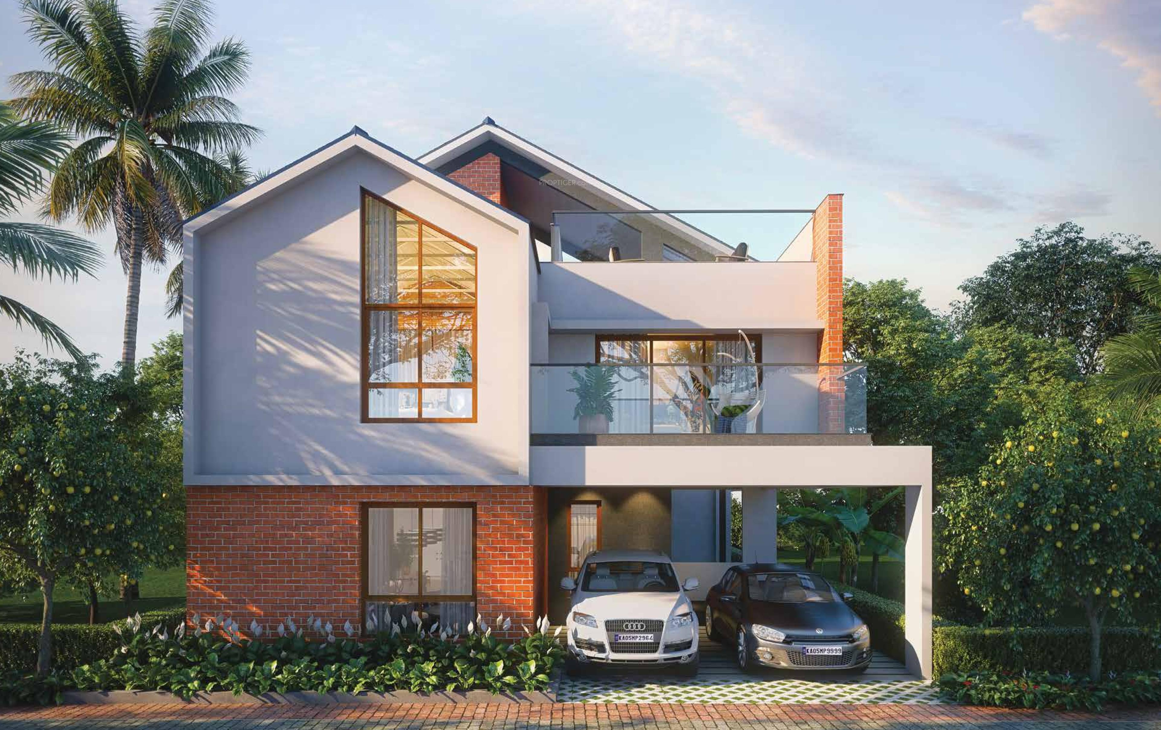 Symphony Of Orchards