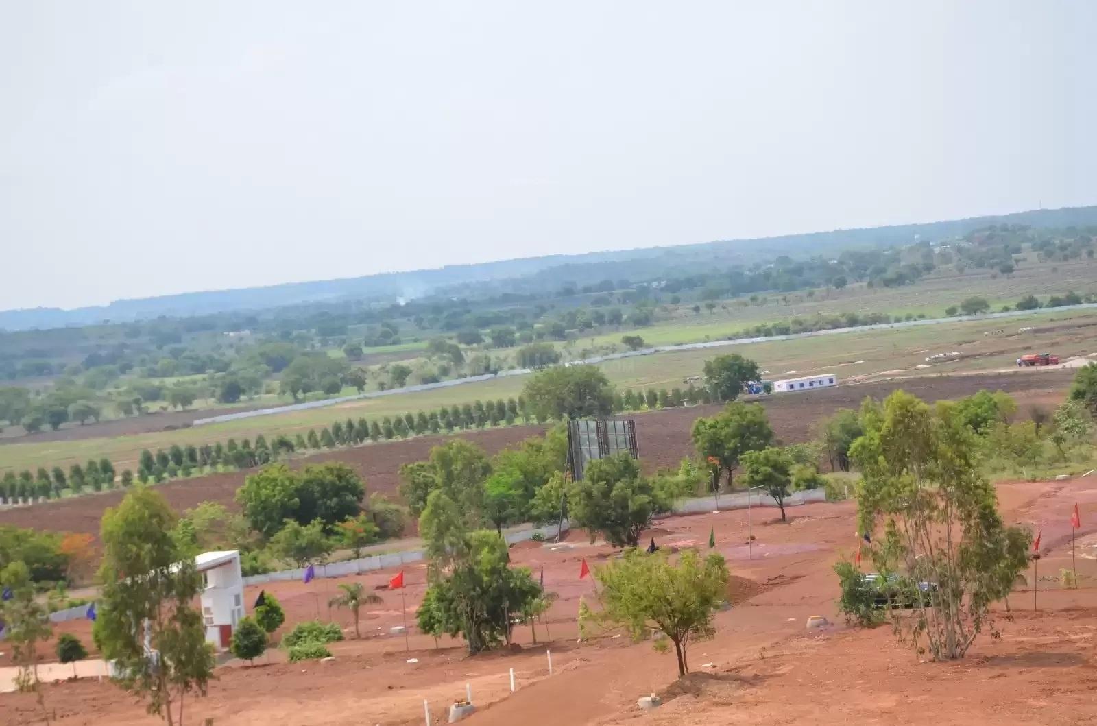 Green Fields