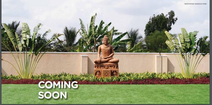  mapple-avvenue Others